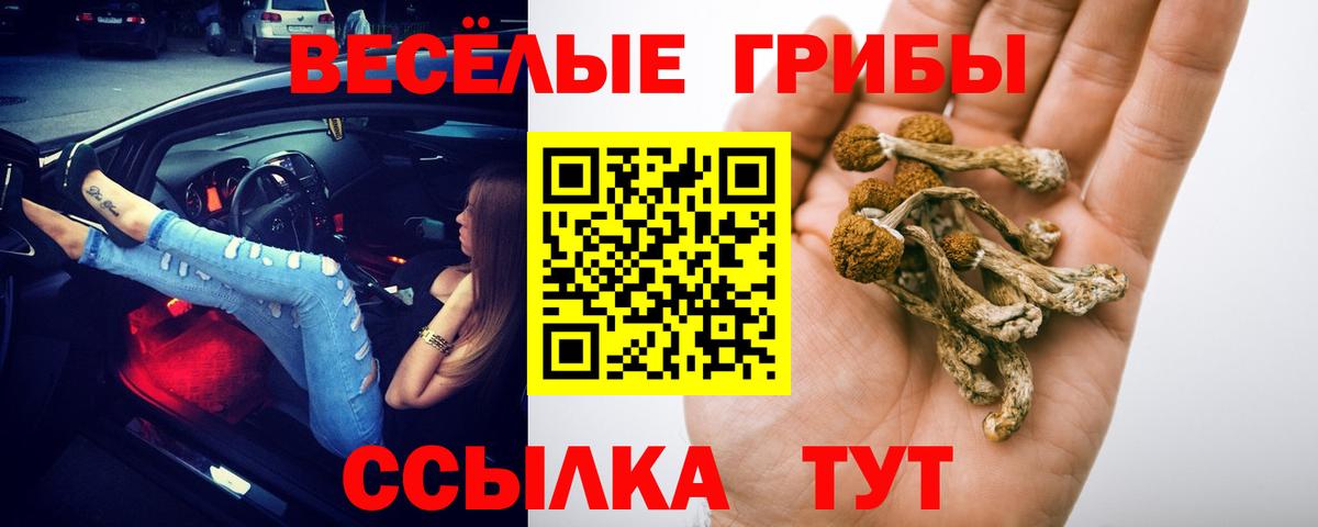 Псилоцибиновые грибы Cubensis  Вход с VPN  Псилоцибиновые грибы мицелий  Чита 